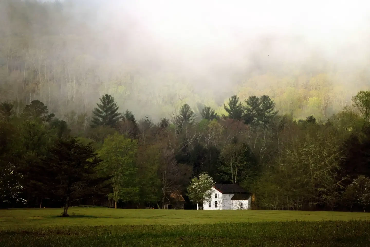 Cades Cove Campground