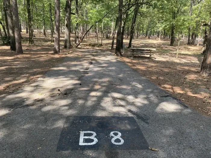 B08