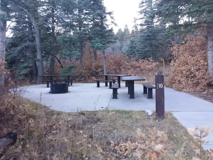 Capulin Spring Picnic Site