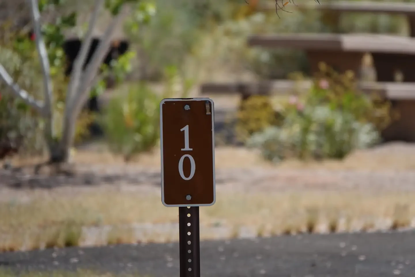 Site 10
