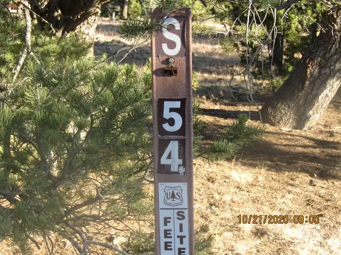 54