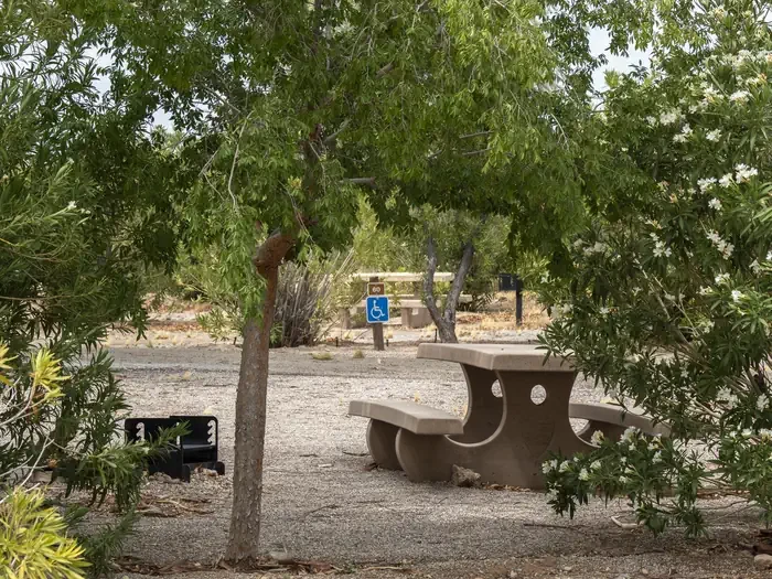 Echo Bay Campground