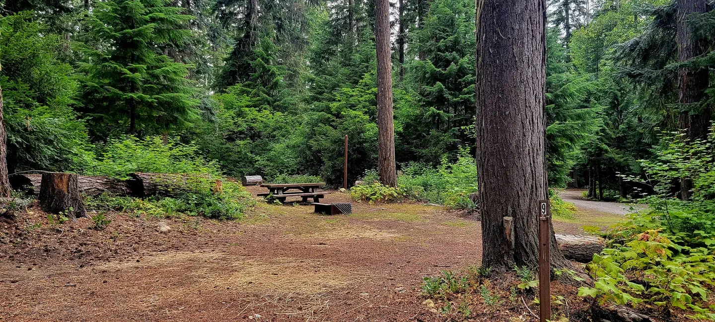 Blackpine CR Horsecamp