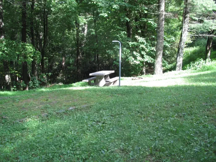 Group Site 2
