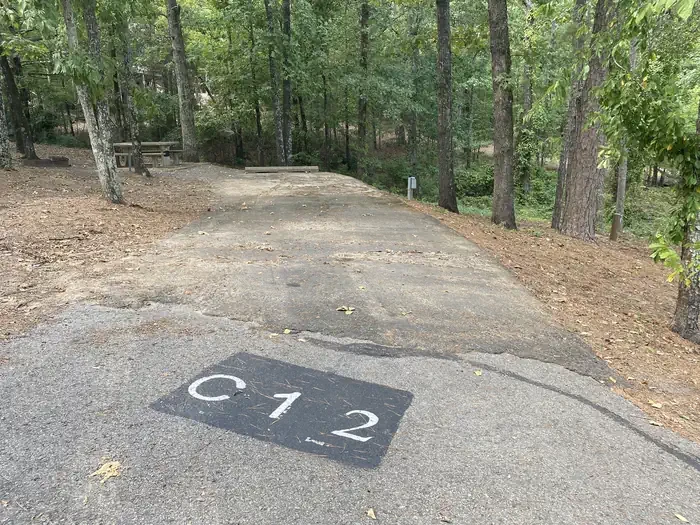 C12