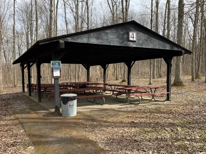 Shelter 4