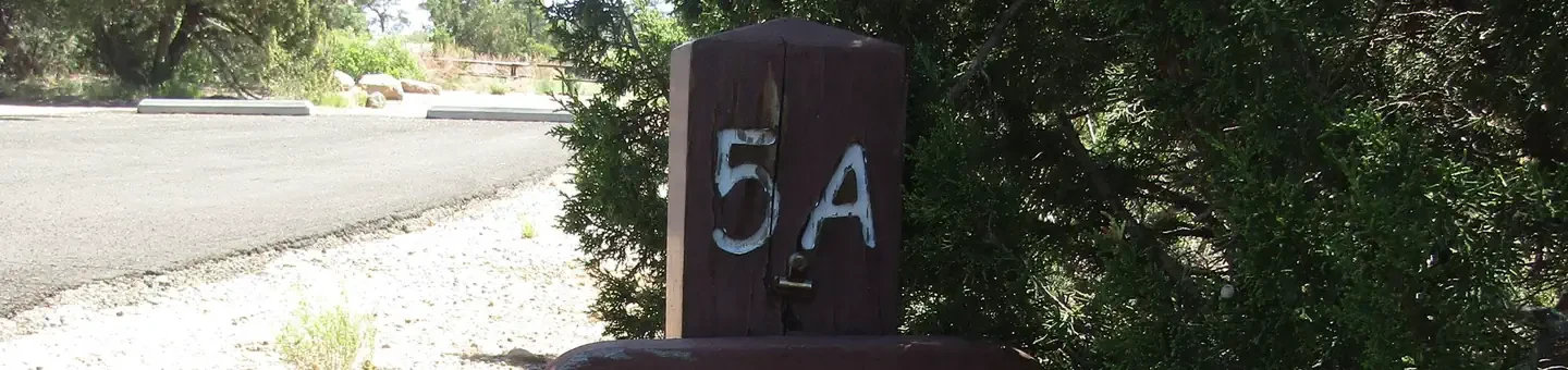 5 (Group Site)