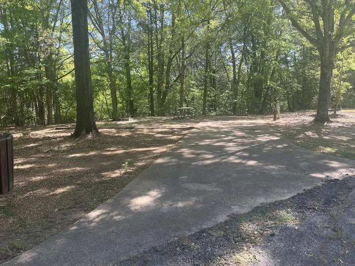 Site 7