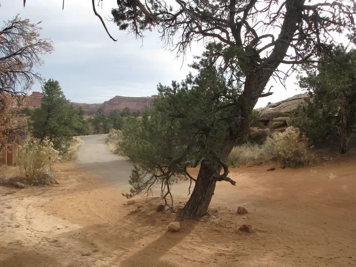 Canyonlands National Park Needles District GROUP Campsites