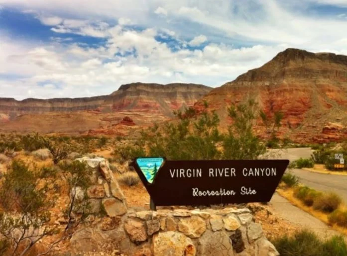 Virgin River Canyon Recreation Area (P)