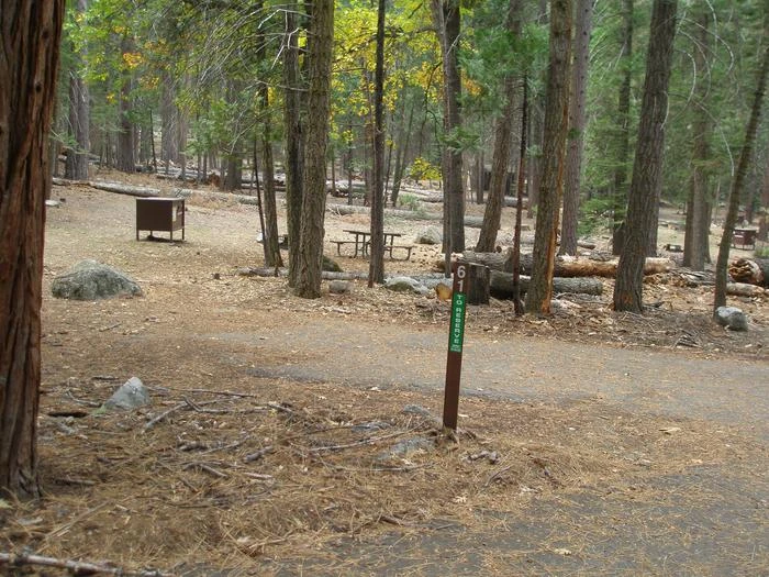 Site: 61