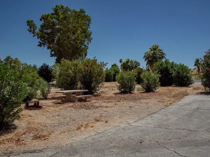 Site 23