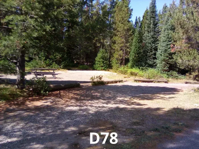 78