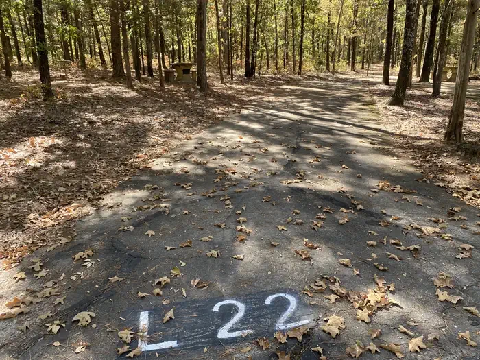 L22