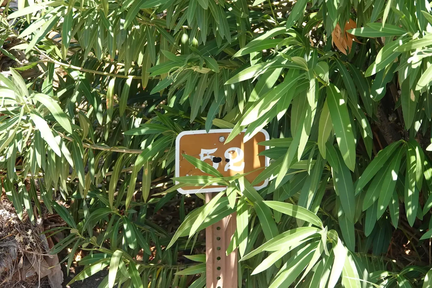 Site 52
