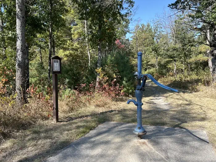 Au Sable Loop Campground