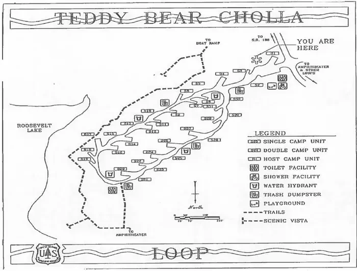 Cholla Campground