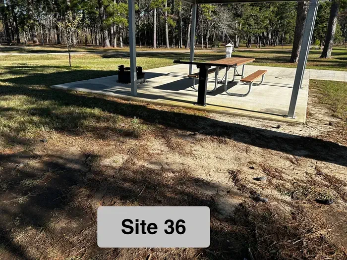 36