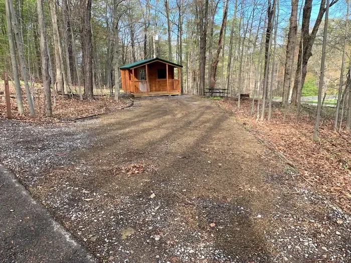 Cabin 4