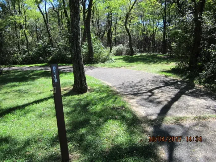 D119