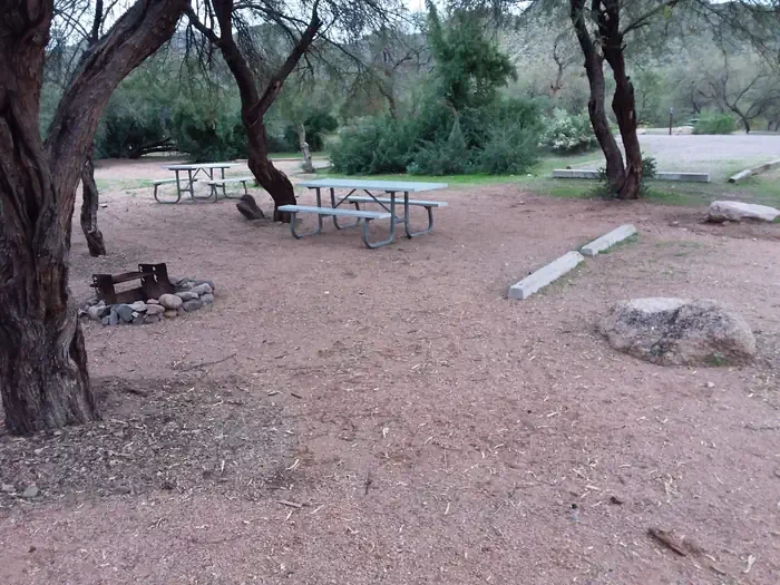 53