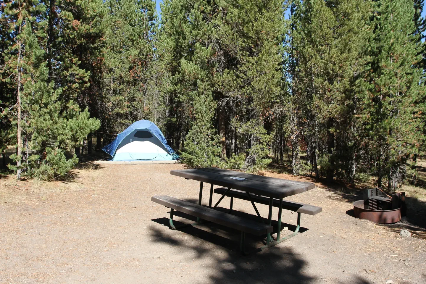 Indian Creek site #48