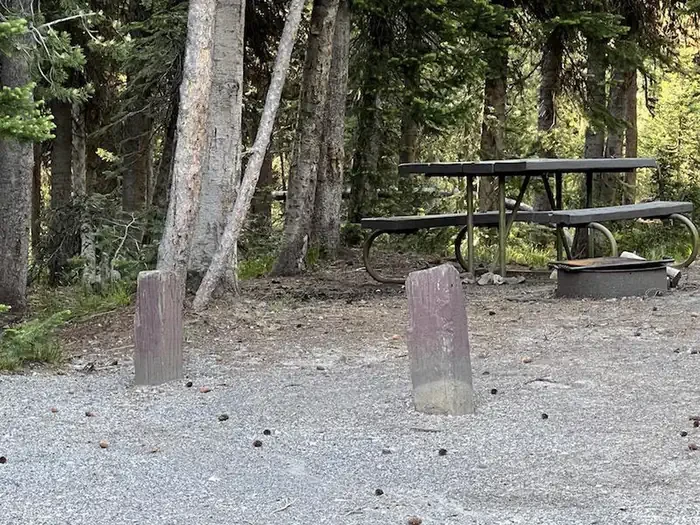 Lewis Lake site #38
