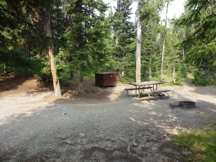 Lewis Lake site #60