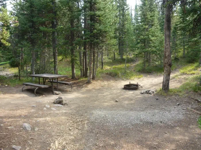 Lewis Lake site #23