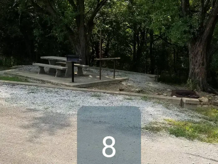 08
