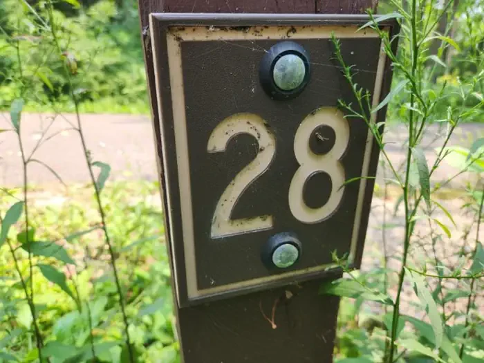 28