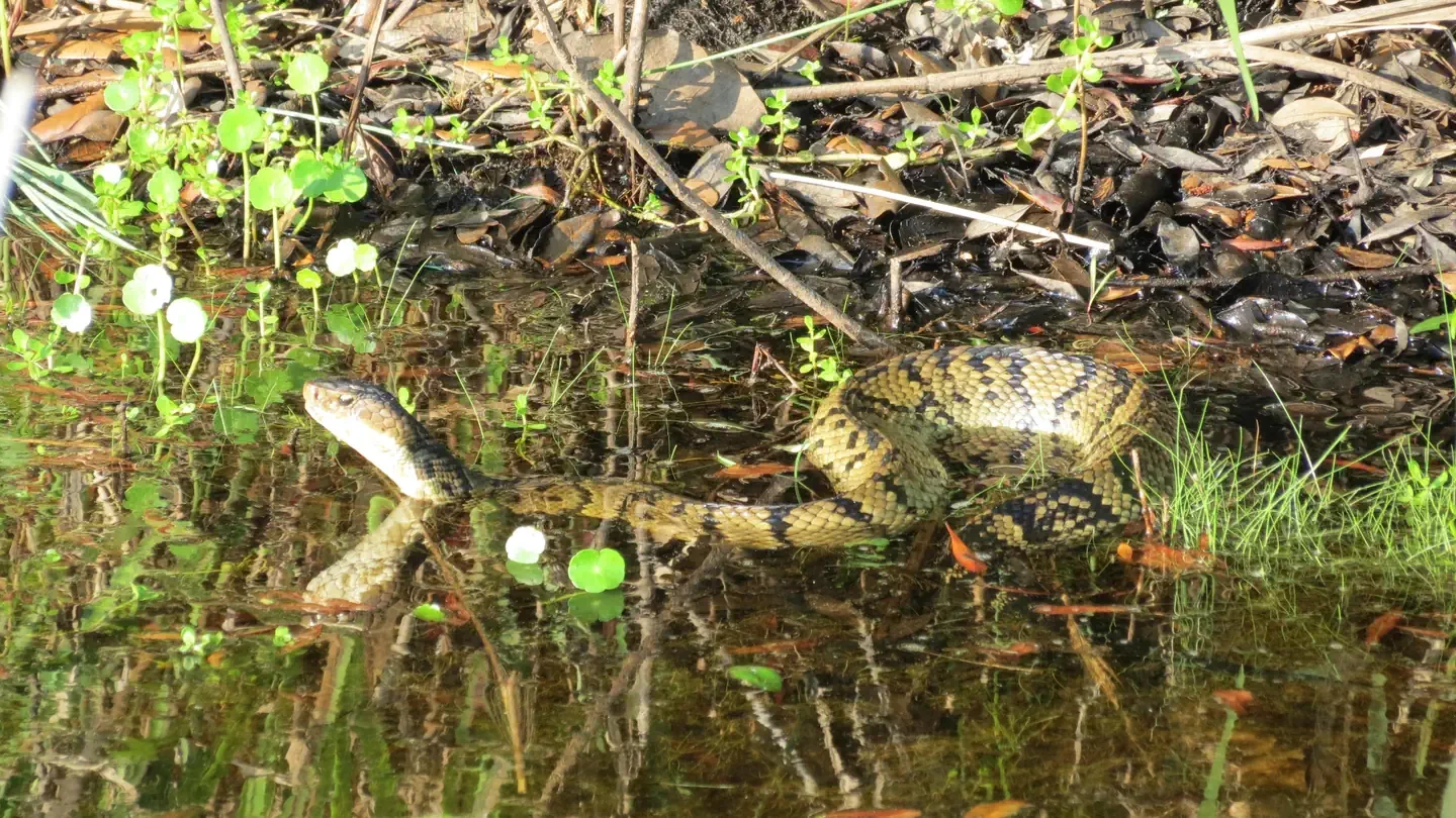 Back Bay National Wildlife Refuge