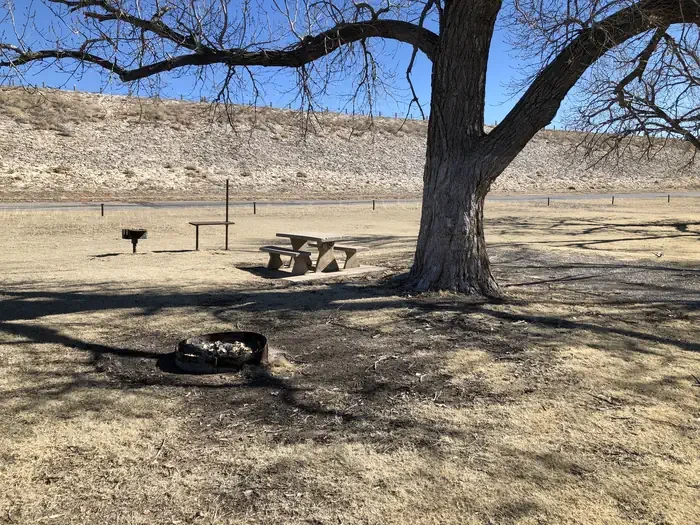 Site 15