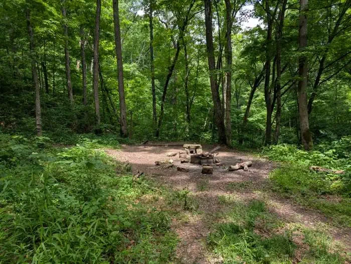 Raymer Hollow
