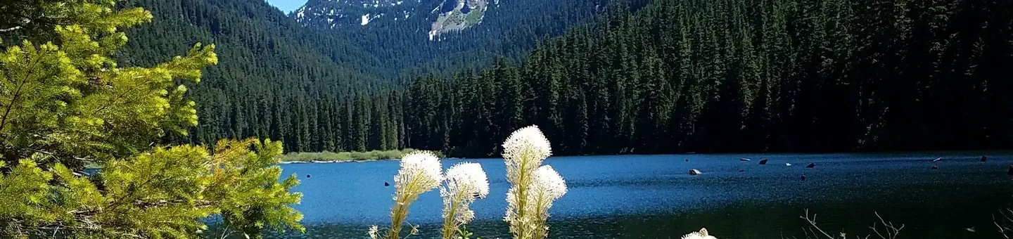 Mt. Jefferson - Pamelia Lake Trailhead