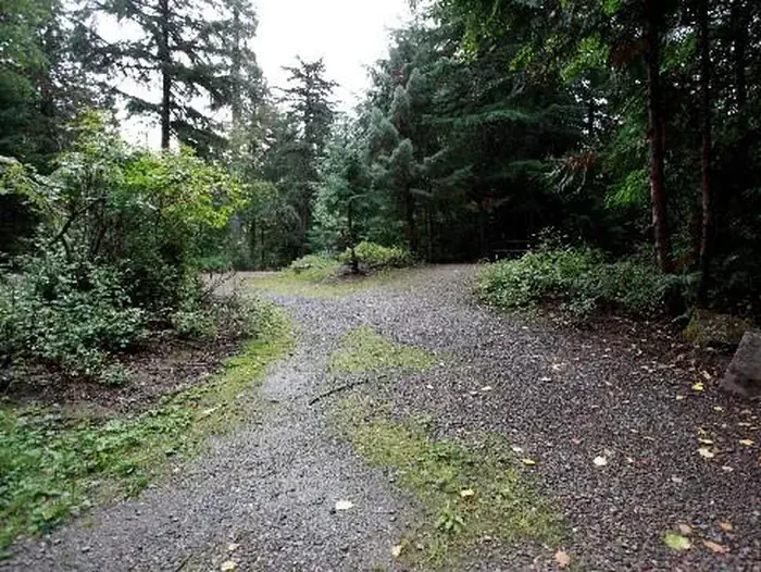 A09
