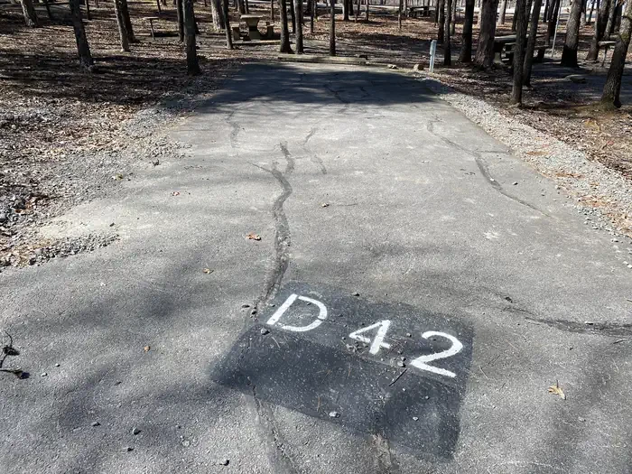D42