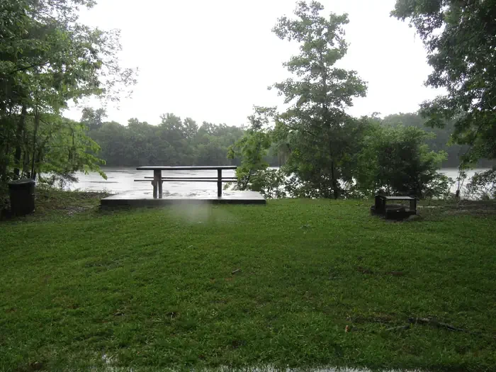 Site 8