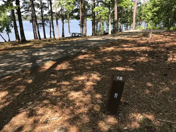 RD-01