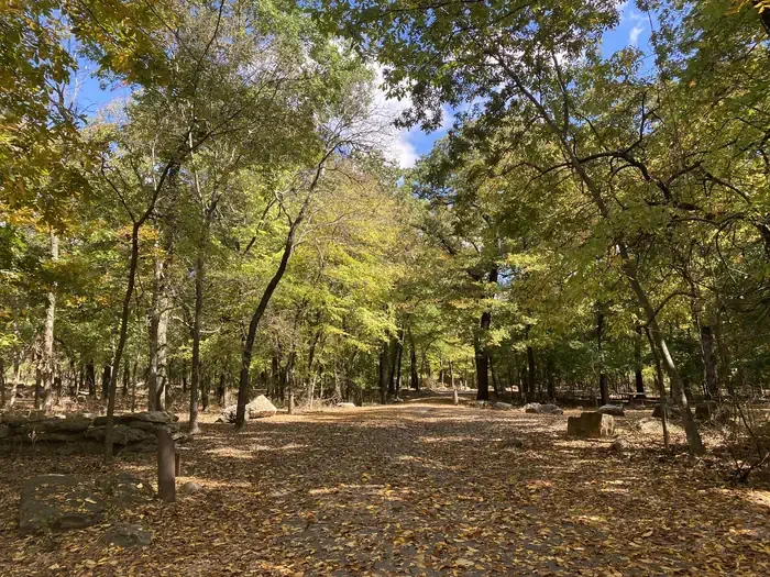Cold Springs Campground (Chickasaw)