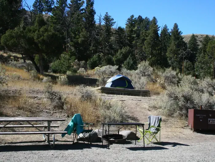 Mammoth site #84
