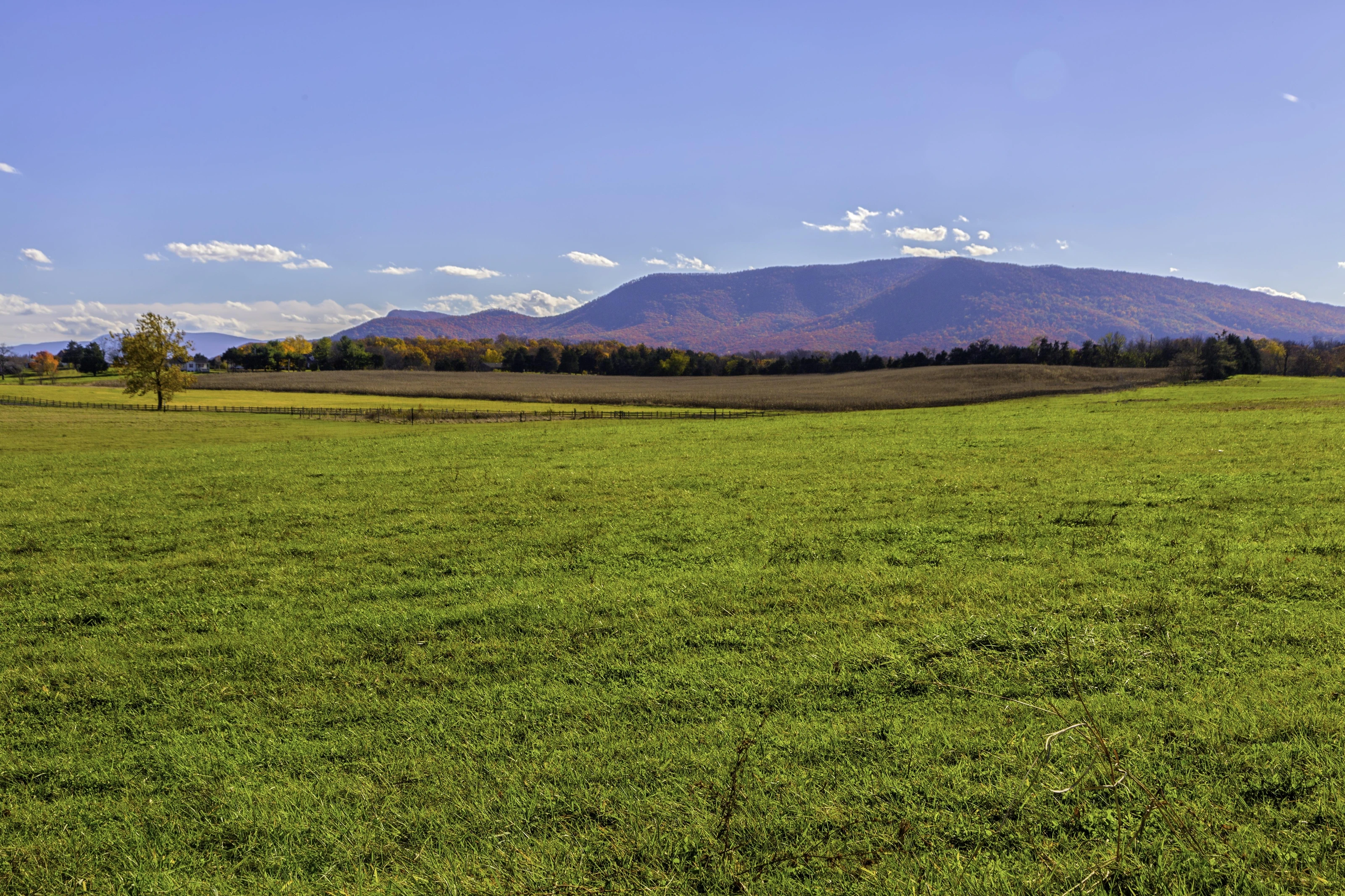 Cedar Creek & Belle Grove National Historical Park