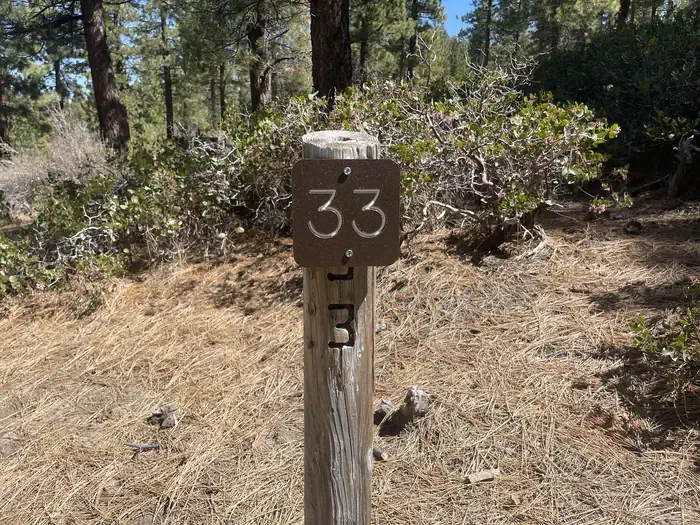 33