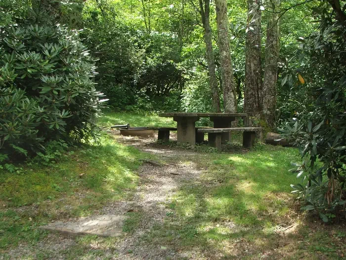 B29