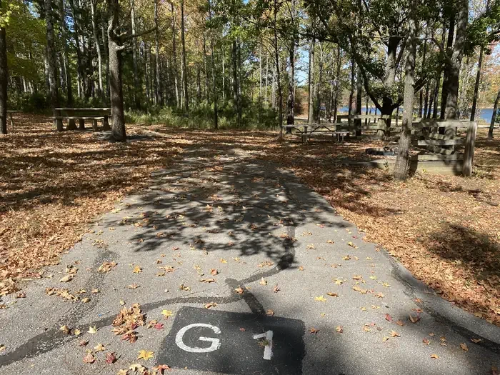 G01