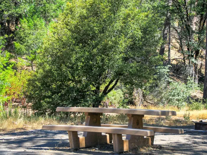 Mill Valley Campground
