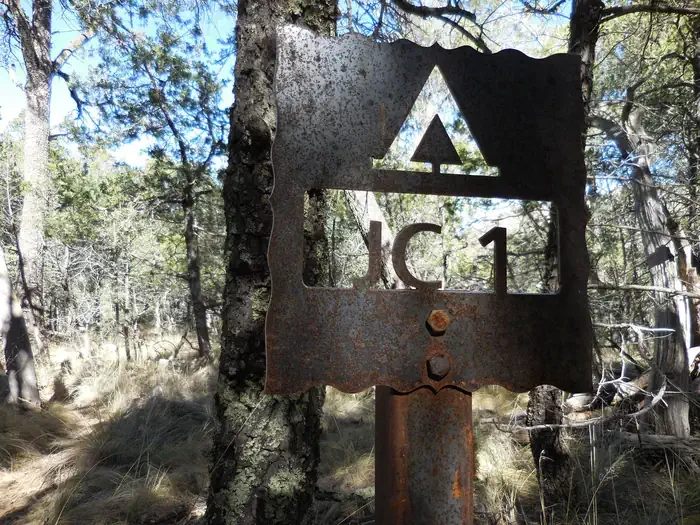 Juniper Can. 1