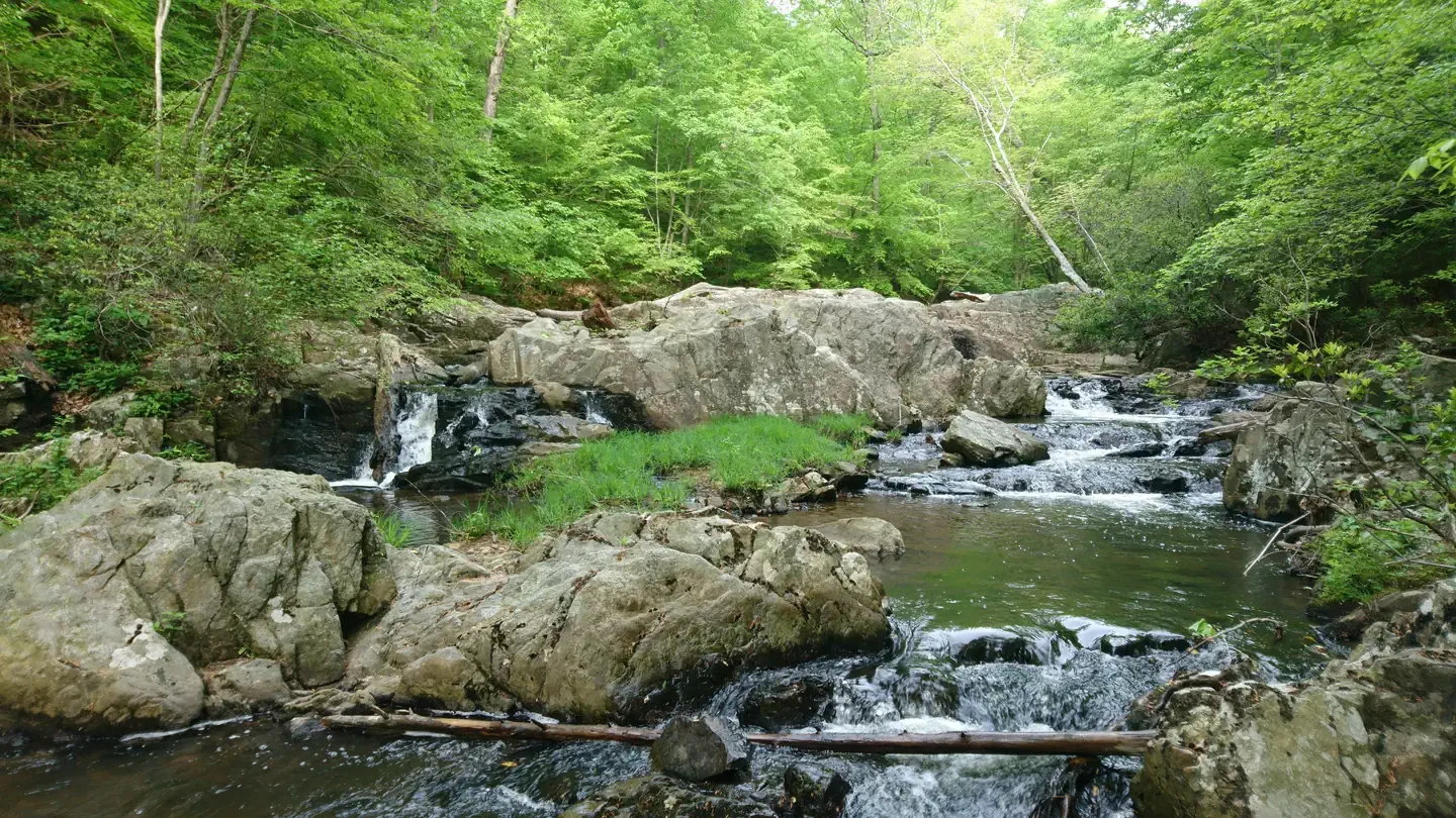 Prince William Forest Park