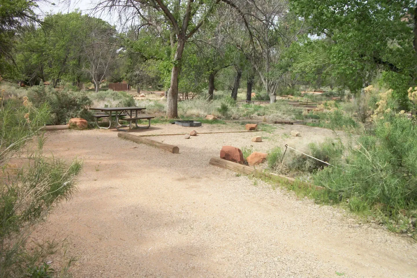 D036