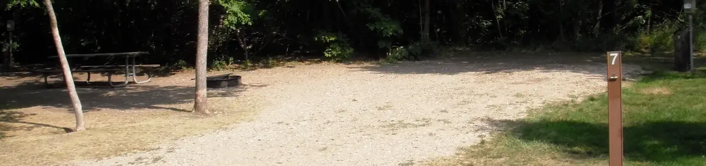 007
